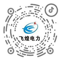 河南飛煌電力集團(tuán)有限公司